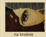 na kronie